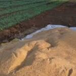 આદિત્ય પંચોલીનો મોટો ખુલાસો, ‘તેઝાબ’માં માધુરી દીક્ષિત સામે મને અનિલ કપૂરના ભાઈએ રિપ્લેસ કરાવ્યો’