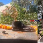 વડોદરાથી કોલંબો : ભગવાન બુદ્ધના પવિત્ર અસ્થિ અવશેષો રાજકીય સન્માન સાથે શ્રીલંકા રવાના