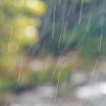 અમદાવાદ મનપાની ચૂંટણીમાં ‘અશાંતધારો’ ગરમાયો, પાલડીમાં લઘુમતી ઉમેદવાર મુદ્દે MLA અમિત શાહનો કોંગ્રેસ પર પ્રહાર