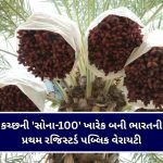 વડોદરામાં ચોર ટોળકી બેફામ : સાવલીના ભીમનાથ મહાદેવ અને વાઘોડિયા GIDCના મંદિરમાં ત્રાટક્યા ચોર