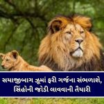 NCERT ના પુસ્તકમાં ન્યાયપાલિકામાં ભ્રષ્ટાચારનું પ્રકરણ….! જાણો CJI સૂર્યકાંતે શું આપી ચેતવણી?