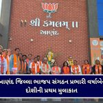 આણંદના ડો. હંસા કુંવરબા રાજનું બહુમાન, મુખ્યમંત્રીએ રાજ્ય મહિલા વિકાસ પુરસ્કારથી નવાજ્યા