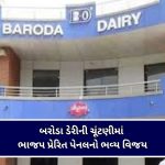 ચૈત્ર નવરાત્રી ૨૦૨૬ : અંબાજી માતા દેવસ્થાન ટ્રસ્ટ દ્વારા દર્શનનું નવું સમયપત્રક જાહેર