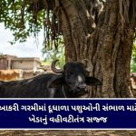 ફૂડ ડિલિવરી બોય અને ડ્રાઈવર બનીને વડોદરા ક્રાઇમ બ્રાન્ચે અપહરણના ગુનામાં સંડોવાયેલા આરોપીને દબોચ્યો