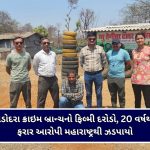 ખેડા જિલ્લાના ૧૦.૩૪ લાખ પશુઓ માટે ‘હીટવેવ એડવાઈઝરી’, પશુપાલકોને ખાસ તકેદારી રાખવા અપીલ