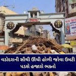 હોળી-ધૂળેટી પૂર્વે વડોદરાના બજારો ગુલાલથી મહેક્યા, ઓર્ગેનિક કલર અને હર્બલ કોમ્બો પેકની ભારે માંગ