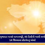 VADODARA : PM મોદીના રોડ શો બાદ ભાજપના નેતાઓએ હાથમાં લીધું સાવરણું
