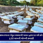 ગુજરાત વિધાનસભાની સમિતિઓની મોટી જાહેરાત,  જાણો કોણે મળ્યું મહત્વનું પદ