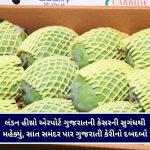 “યુવાધન ખતમ થઈ રહ્યું છે, બચાવી લેજો સાહેબ” : ભાજપના જ સાંસદનો ગૃહમંત્રીને પત્ર