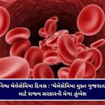 વડતાલધામમાં ગુંજ્યો જયનાદ : પૂર્વ કેન્દ્રીય મંત્રી દેવુસિંહ ચૌહાણનું ‘ડોક્ટરેટ’ની પદવી બદલ સંતો દ્વારા ભવ્ય અભિવાદન