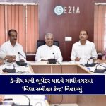 પવિત્ર યાત્રાધામમાં સર્જાયો ચીત્કાર, પાવાગઢ ડુંગર પર ભારે પથ્થરો નીચે દબાતા ૨ ના મોત, ૮ ઇજાગ્રસ્ત
