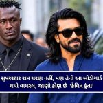 સાવધાન! મહેસાણામાં FSSAI નો સપાટો, રસ કાઢવા રાખેલી સડેલી અને કીડાવાળી કેરીઓનો મોટો જથ્થો જપ્ત