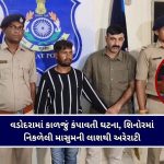 ‘યોગા ફોર હેલ્ધી એજિંગ’ થીમ પર ગુજરાતમાં ૨૪,૦૦૦થી વધુ કાર્યક્રમોનું આયોજન, નાયબ મુખ્યમંત્રીએ આપી વિગતો