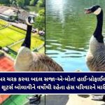 સંસ્કારી નગરીનો ગ્રીન સંકલ્પ : વડોદરામાં વધુ ૨૦ નવી AC ઇલેક્ટ્રિક બસ દોડશે, ઓક્ટોબર સુધીમાં ઇ-બસનો આંકડો ૧૦૦ પહોંચશે