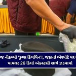 મેઘરાજાની સેકન્ડ ઈનિંગ! ગુજરાતમાં ૮ અને ૯ ઓગસ્ટે ભારે વરસાદની આગાહી, હવામાન વિભાગે યલો એલર્ટ જાહેર કર્યું