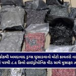 અમદાવાદ એરપોર્ટ પરથી ૮.૯ કિલો હાઇડ્રોપોનિક વીડ સાથે મુસાફર ઝડપાયો!