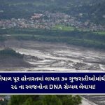 લાંબા વિરામ બાદ મેઘરાજાની ધમાકેદાર વાપસી : દક્ષિણ અને મધ્ય ગુજરાતમાં ધાણીફૂટ વરસાદ, ઉમરપાડામાં સૌથી વધુ ૫.૨ ઈંચ!