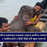 ગુજરાત ભાજપમાં મોટો સંગઠનાત્મક ફેરફાર : ડાંગ, નર્મદા અને ભરૂચ જિલ્લા માટે નવા પ્રમુખોની જાહેરાત!